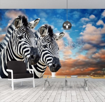 Picture of Zebras in the wild